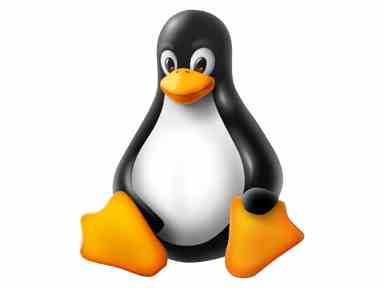 image of Tux